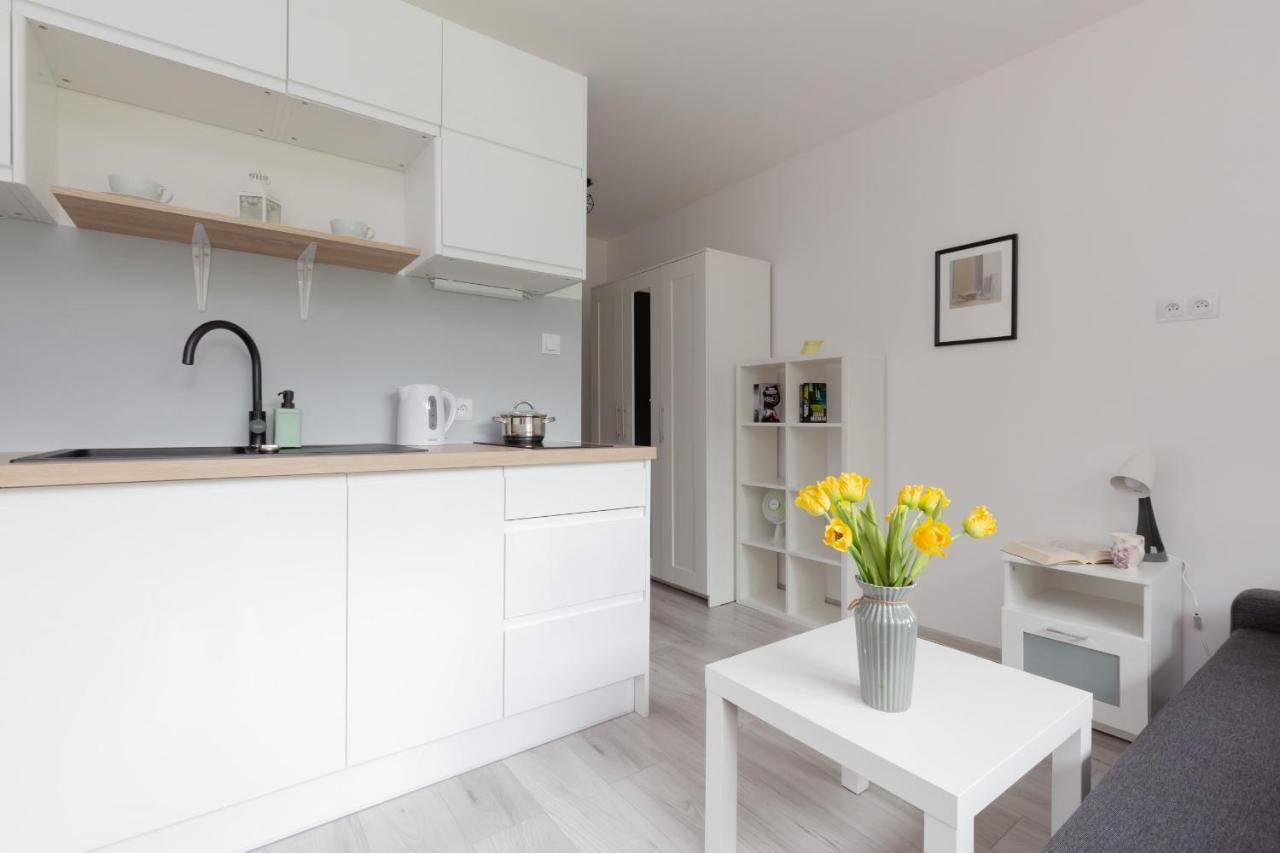 Butas Pet-friendly Batorego By Renters